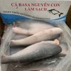Cá basa đông lạnh cắt đầu nguyên thùng