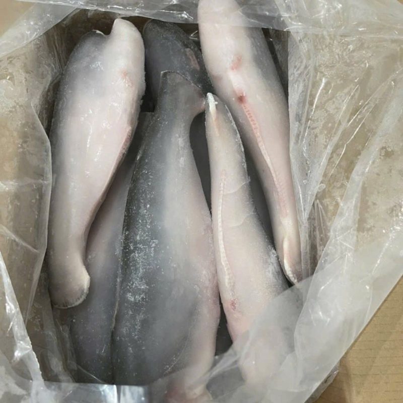 ca-basa-dong-lanh-cat-dau-nguyen-thung-02 Cá basa đông lạnh cắt đầu nguyên thùng