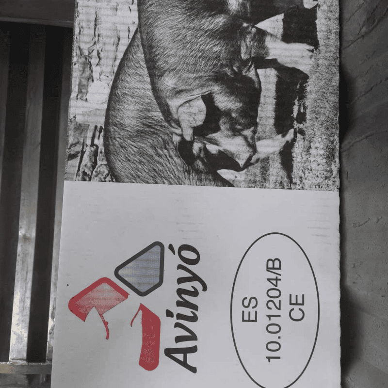 Sườn bẹ heo Avinyo