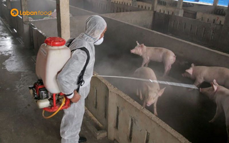 Vệ sinh chuồng trại giúp giảm thiểu rủi ro dịch bệnh