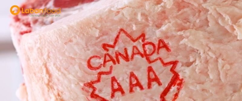 Thịt bò Canada luôn được kiểm soát chất lượng nghiêm ngặt