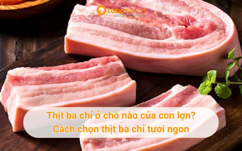 Thịt ba chỉ ở chỗ nào của con lợn? Cách chọn thịt ba chỉ tươi ngon