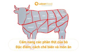 Các phần thịt của bò: Đặc điểm, cách chế biến và món ăn phù hợp nhất