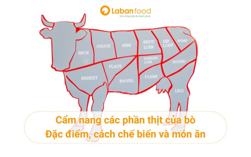 Các phần thịt của bò: Đặc điểm, cách chế biến và món ăn phù hợp nhất