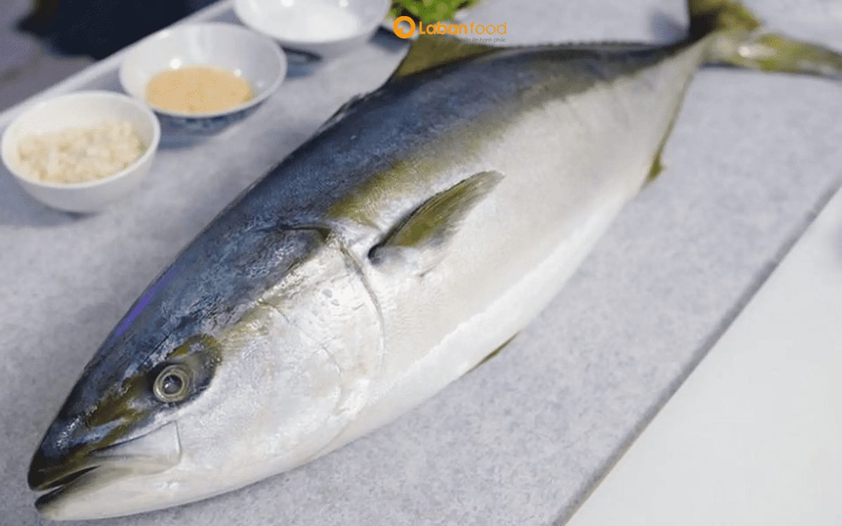 ăn cá cam có tốt không