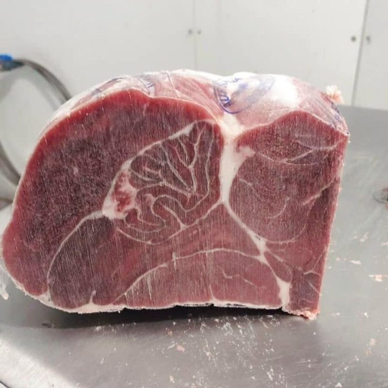 Bắp bò Úc Kilcoy
