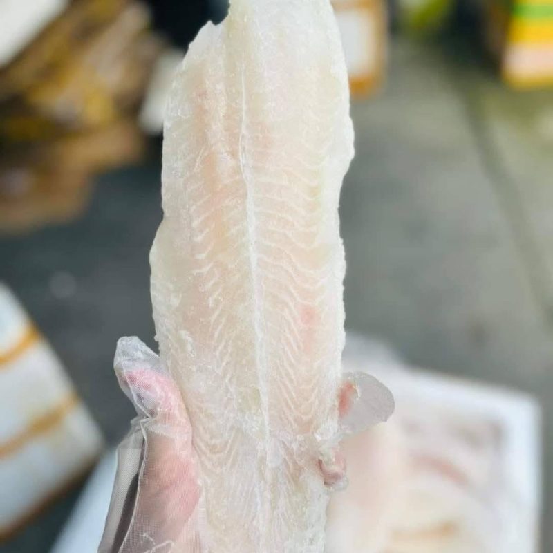 cá basa phi lê nguyên thùng