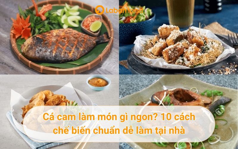 cá cam nấu món gì ngon