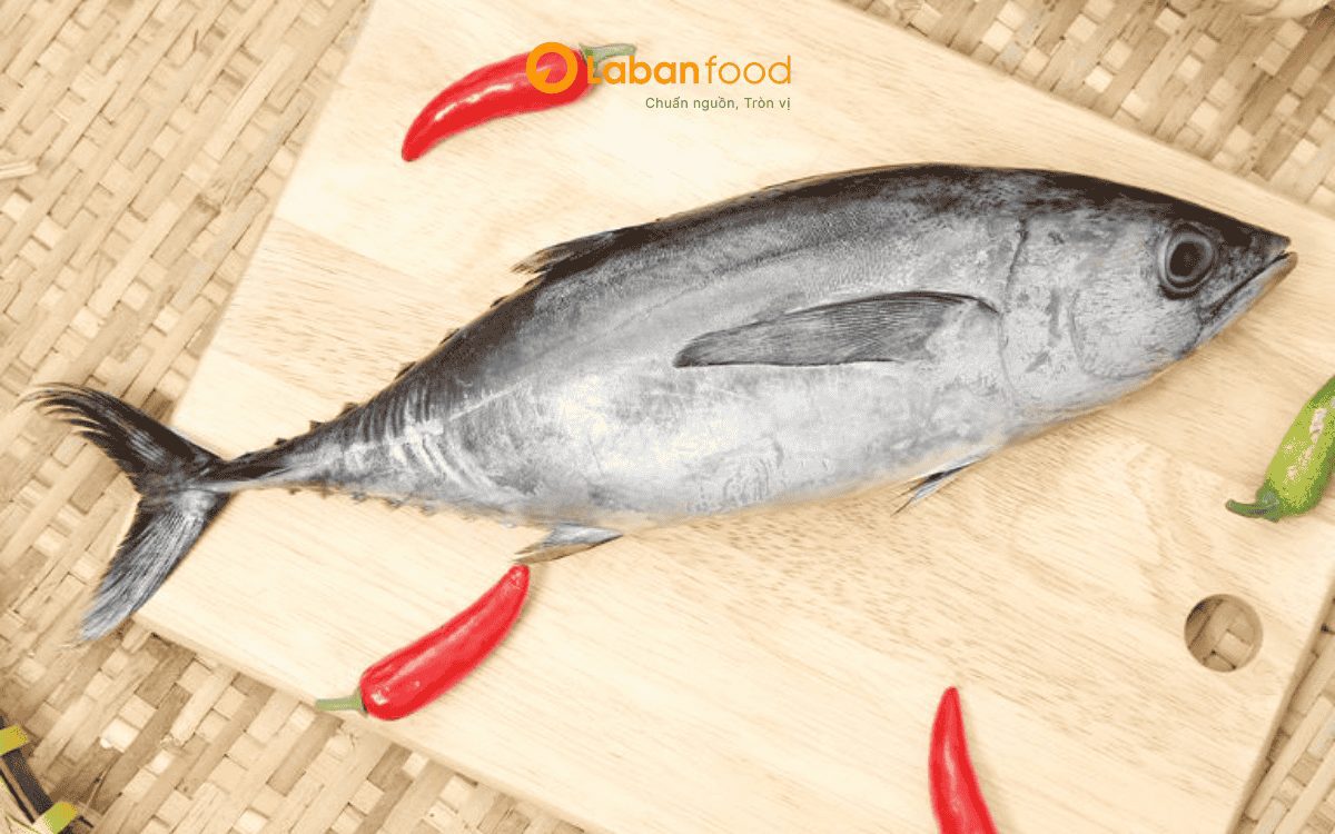 Cá ngừ thu làm món gì ngon