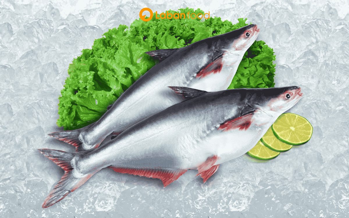 cách chế biến cá basa đông lạnh