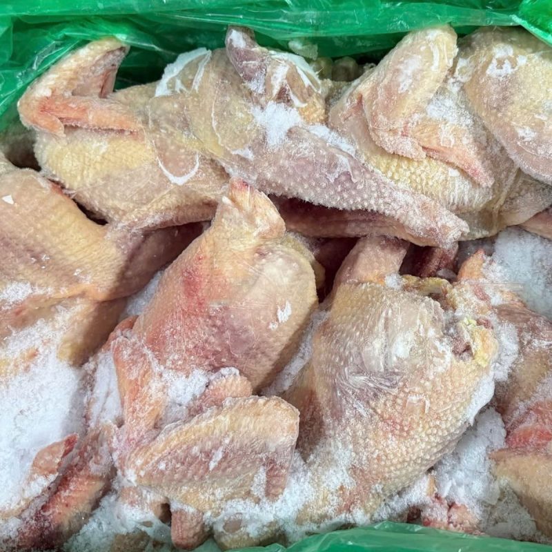 gà dai hàn quốc