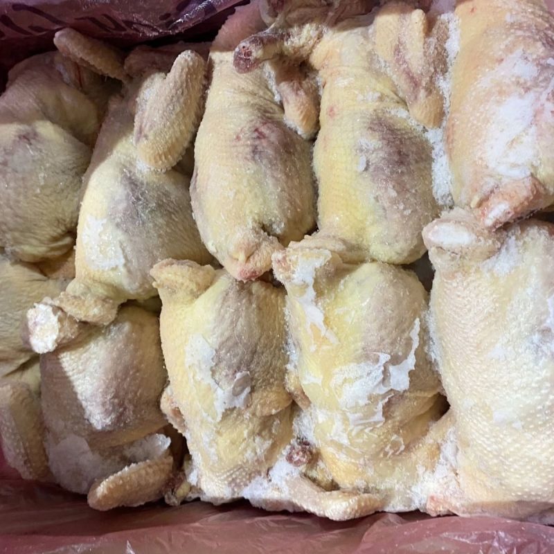 gà dai hàn quốc