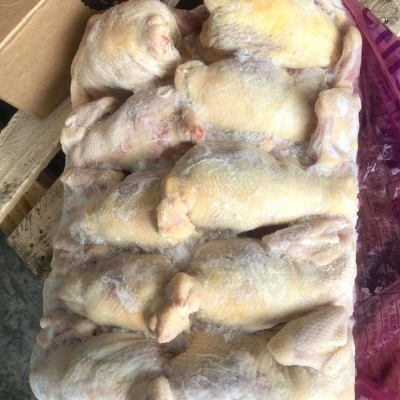 gà dai hàn quốc