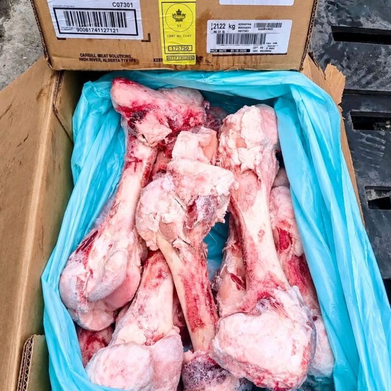 xuong-ong-bo-canada-02 xương ống bò canada