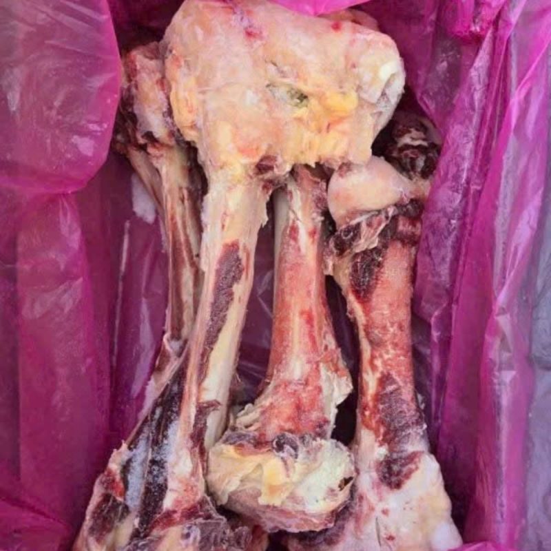 xương ống bò úc