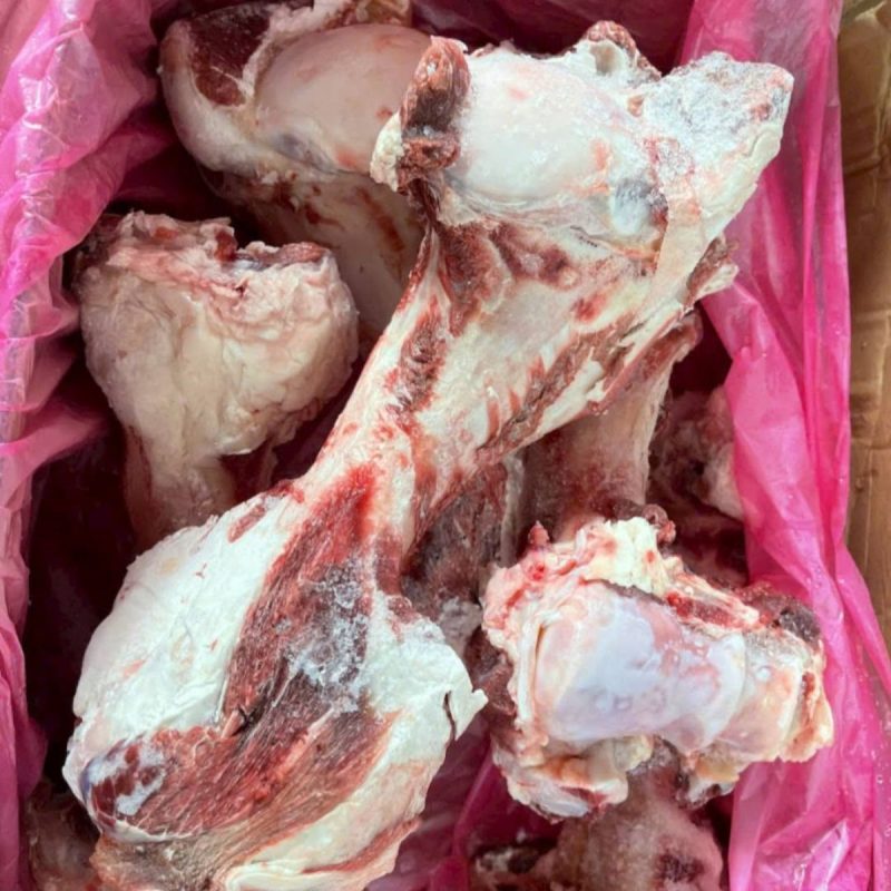 xương ống bò úc
