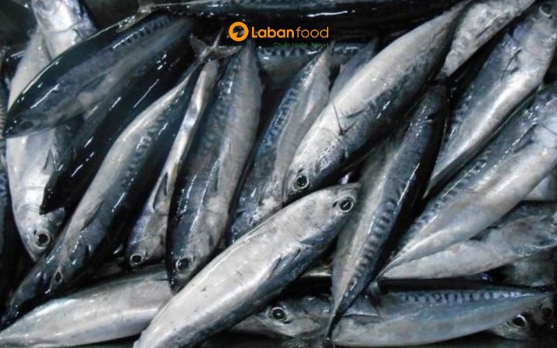 cá ngừ ồ làm gì ngon