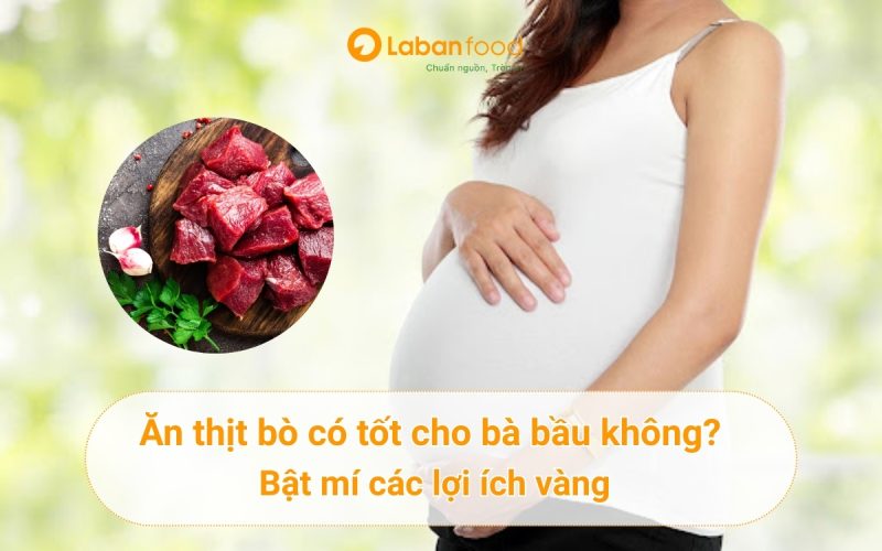 ăn thịt bò có tốt cho bà bầu
