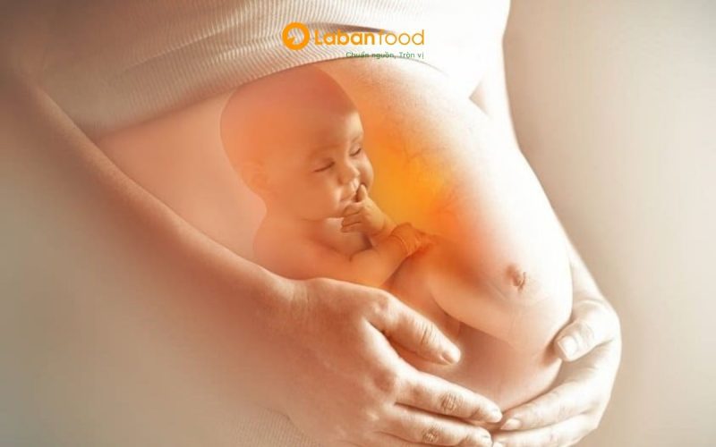 bà bầu ăn thịt bò có tốt không