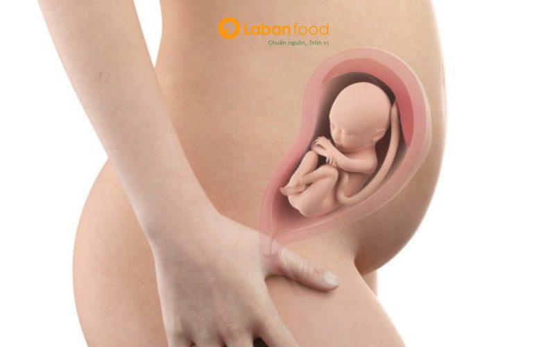 ăn thịt bò có tốt cho bà bầu