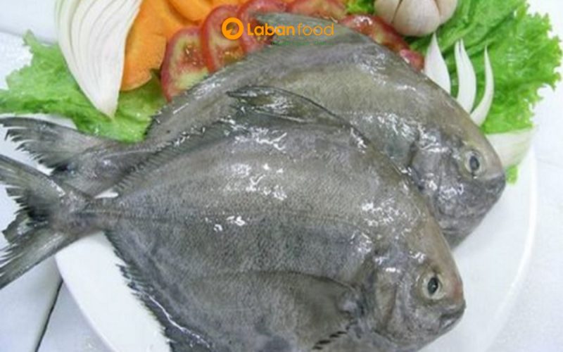 cá chim đen nấu món gì ngon