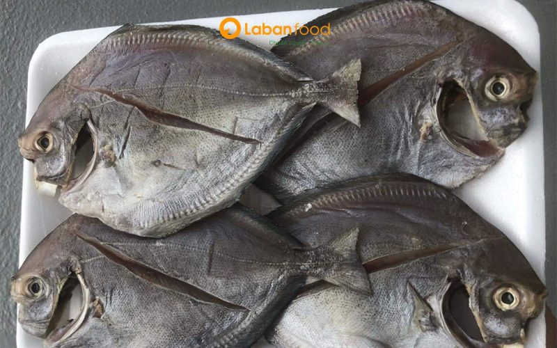 cá chim đen làm món gì ngon