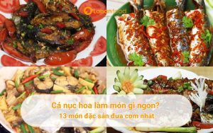 cá nục hoa làm món gì ngon