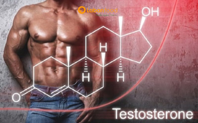 tác dụng của thịt bò đối với nam giới