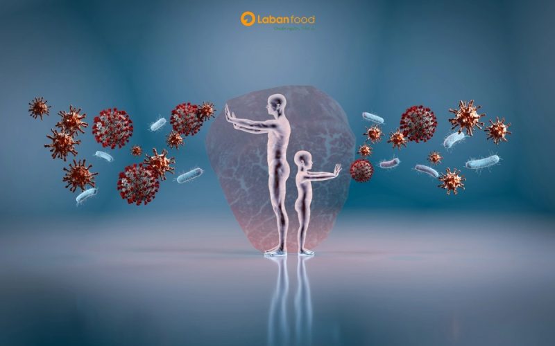 thịt bò có tác dụng gì