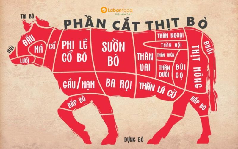 thịt bò phần nào xào ngon