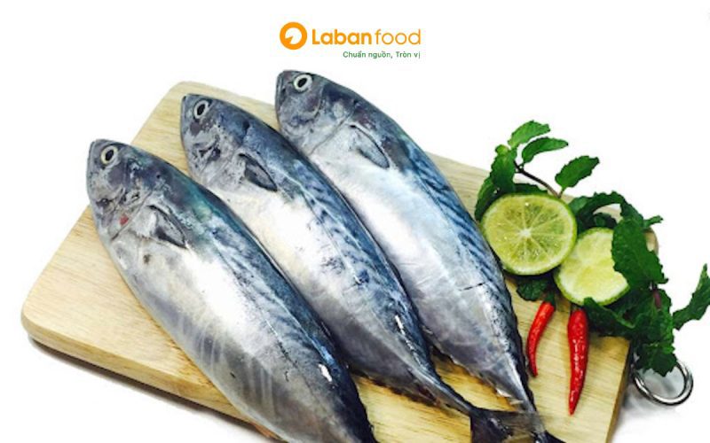 cá ngừ ồ kho​