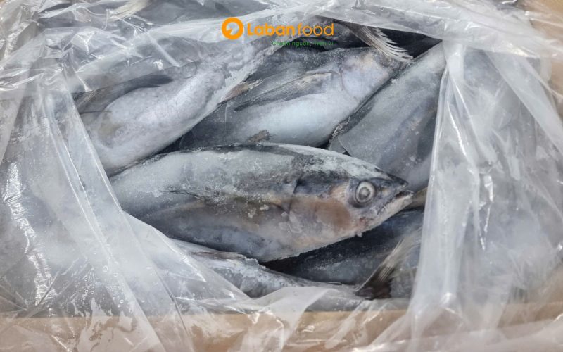 cá ngừ ồ kho​