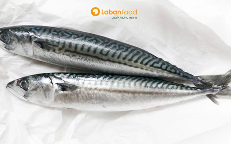 cá nục hoa kho cà chua