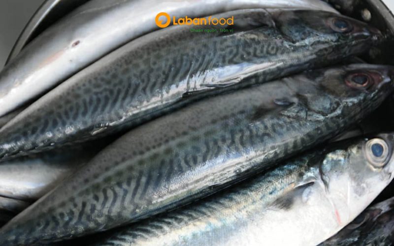 cá nục nướng sốt cà chua