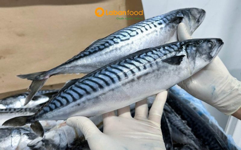 cá nục nướng than