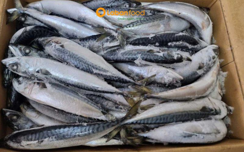 cá nục hoa nướng