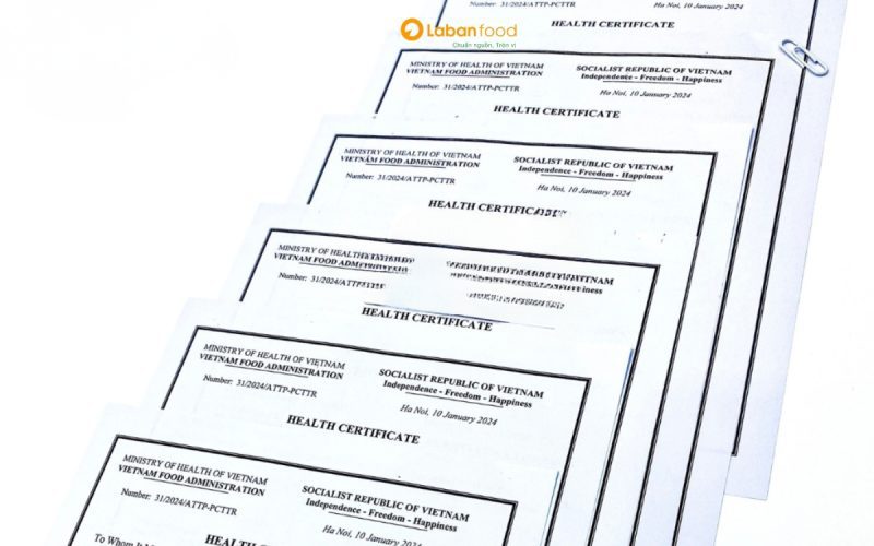 thủ tục nhập khẩu thịt bò đông lạnh