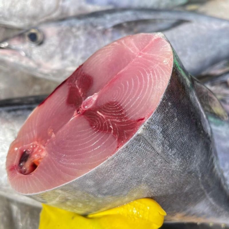 cá ngừ bò