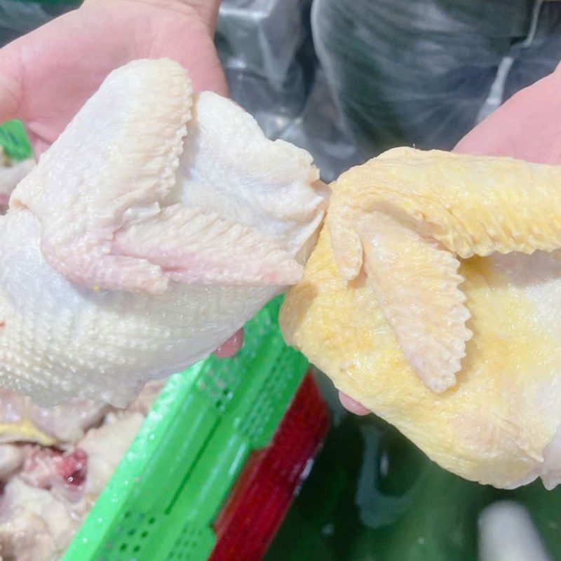 thịt gà cắt miếng
