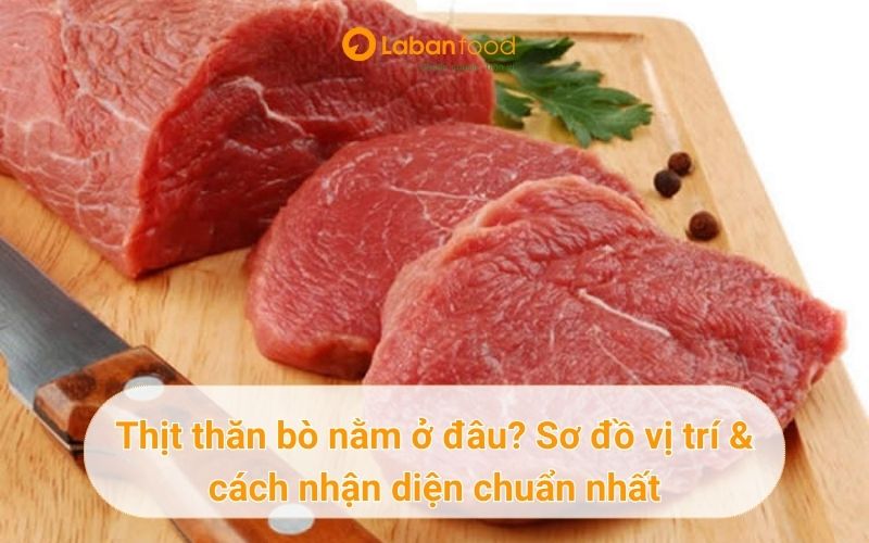 thịt thăn bò nằm ở đâu