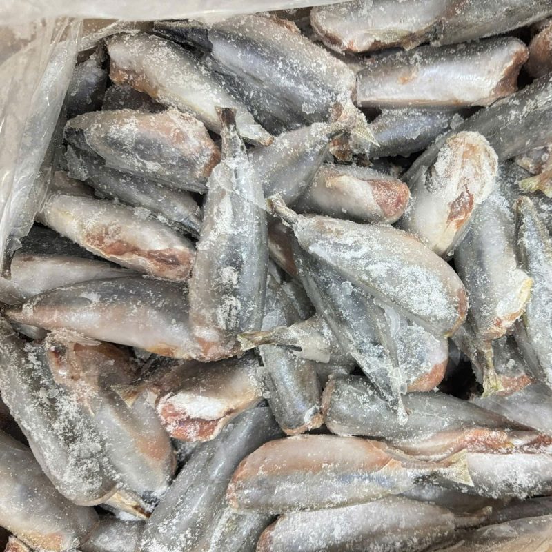 cá nục cắt đầu