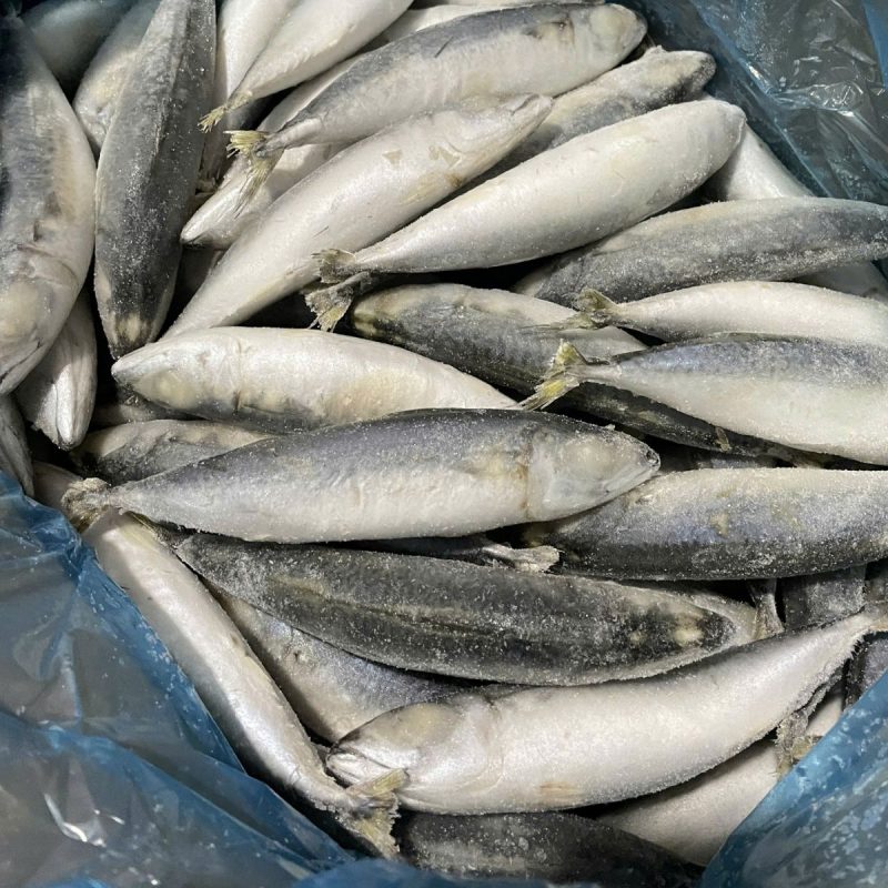 cá nục hoa trung