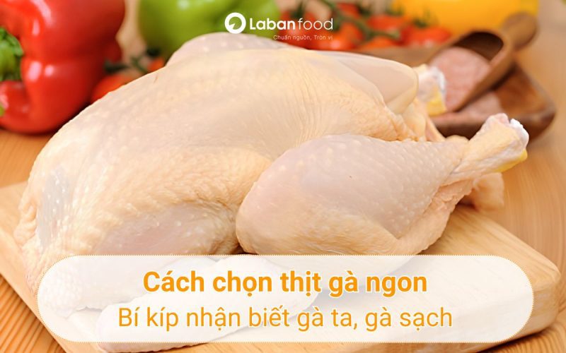 cách chọn thịt gà ngon