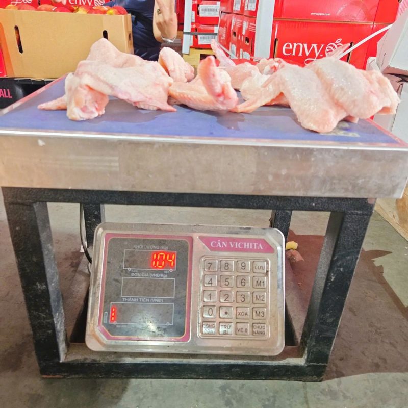cánh gà xếp lớp Sebastian