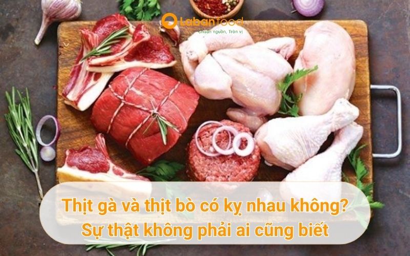 Thịt gà và thịt bò có kỵ nhau không? Sự thật không phải ai cũng biết