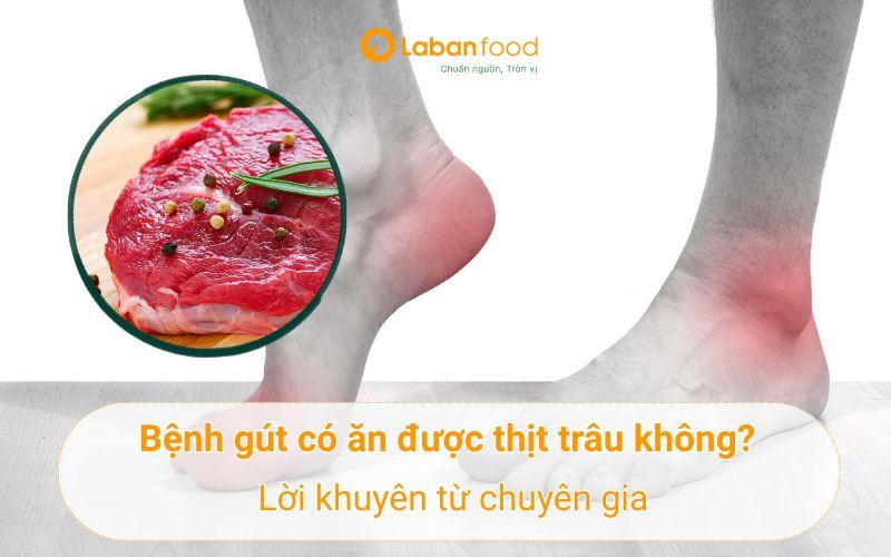 bệnh gút có ăn được thịt trâu không