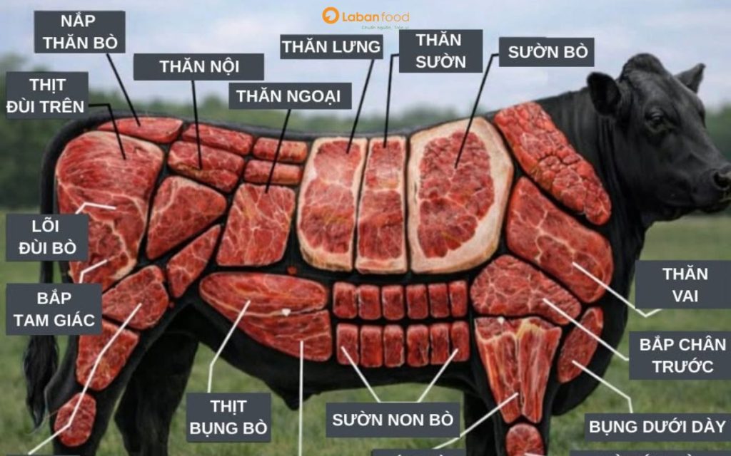 thăn ngoại bò