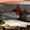 Cá hồi đông lạnh Coho