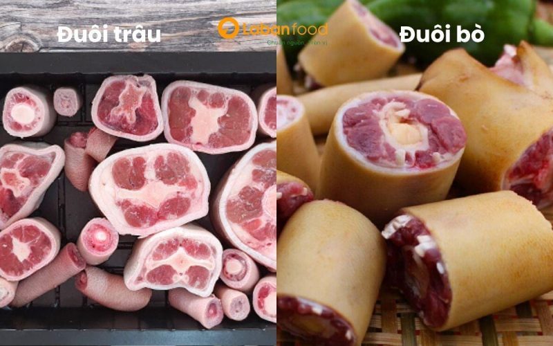 So sánh hình ảnh đuôi trâu và đuôi bò. cách làm đuôi trâu hầm thuốc bắc
