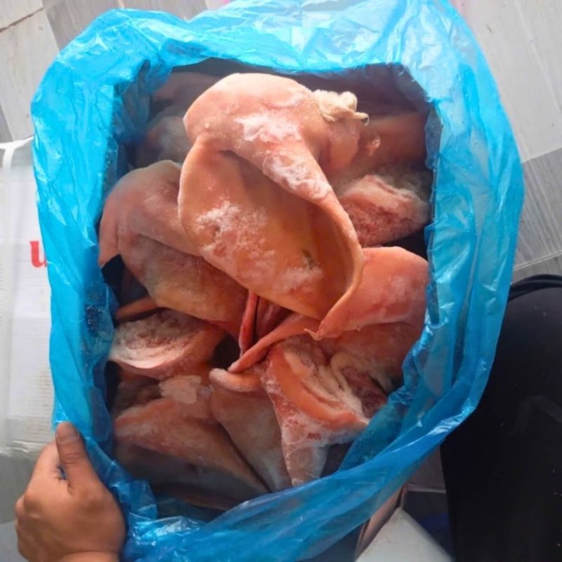 sản phẩm la bàn food Tai heo Rivasam